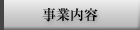 ���Ɠ��e