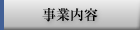 ���Ɠ��e